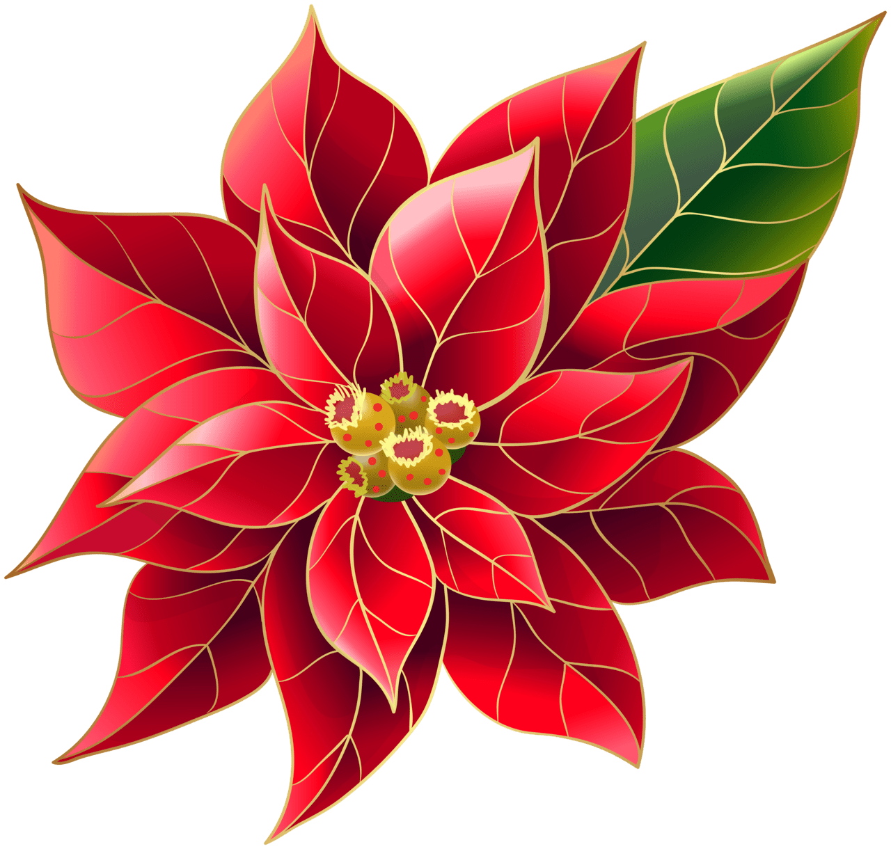 Xmas poinsettia clipart clip art