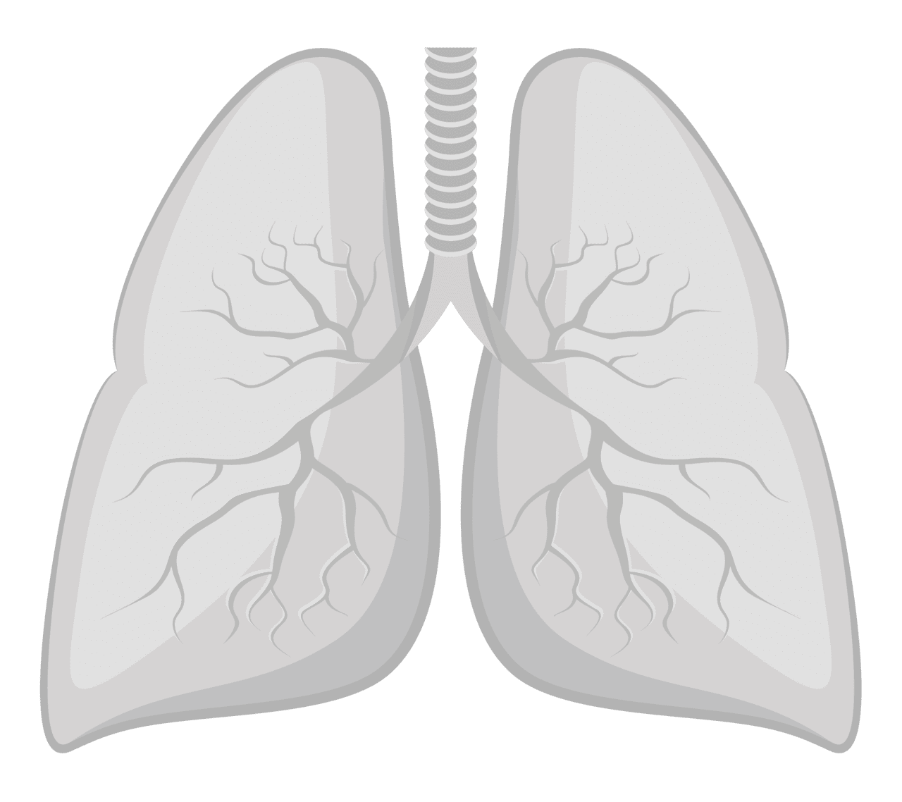 Lungs lung cancer screening henry mayo newhall hospital valencia ca clipart background