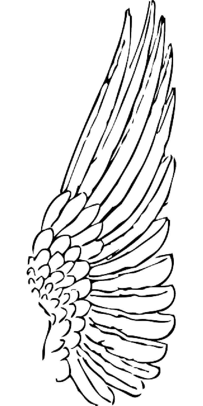 Angel wings basic feather outline clipart photo