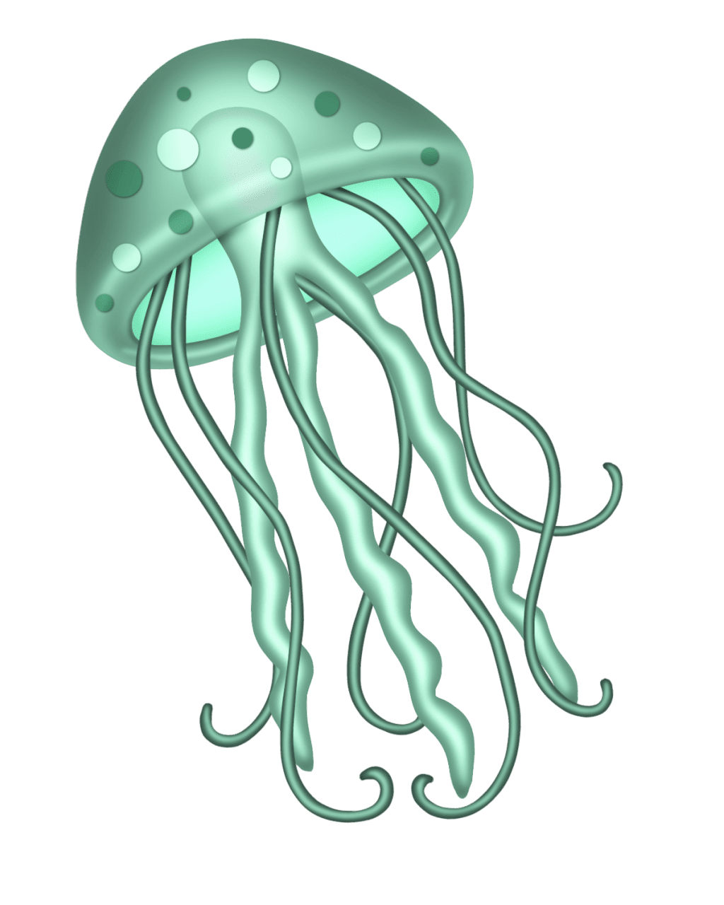 Jellyfish jelly fish clipart drawing vector