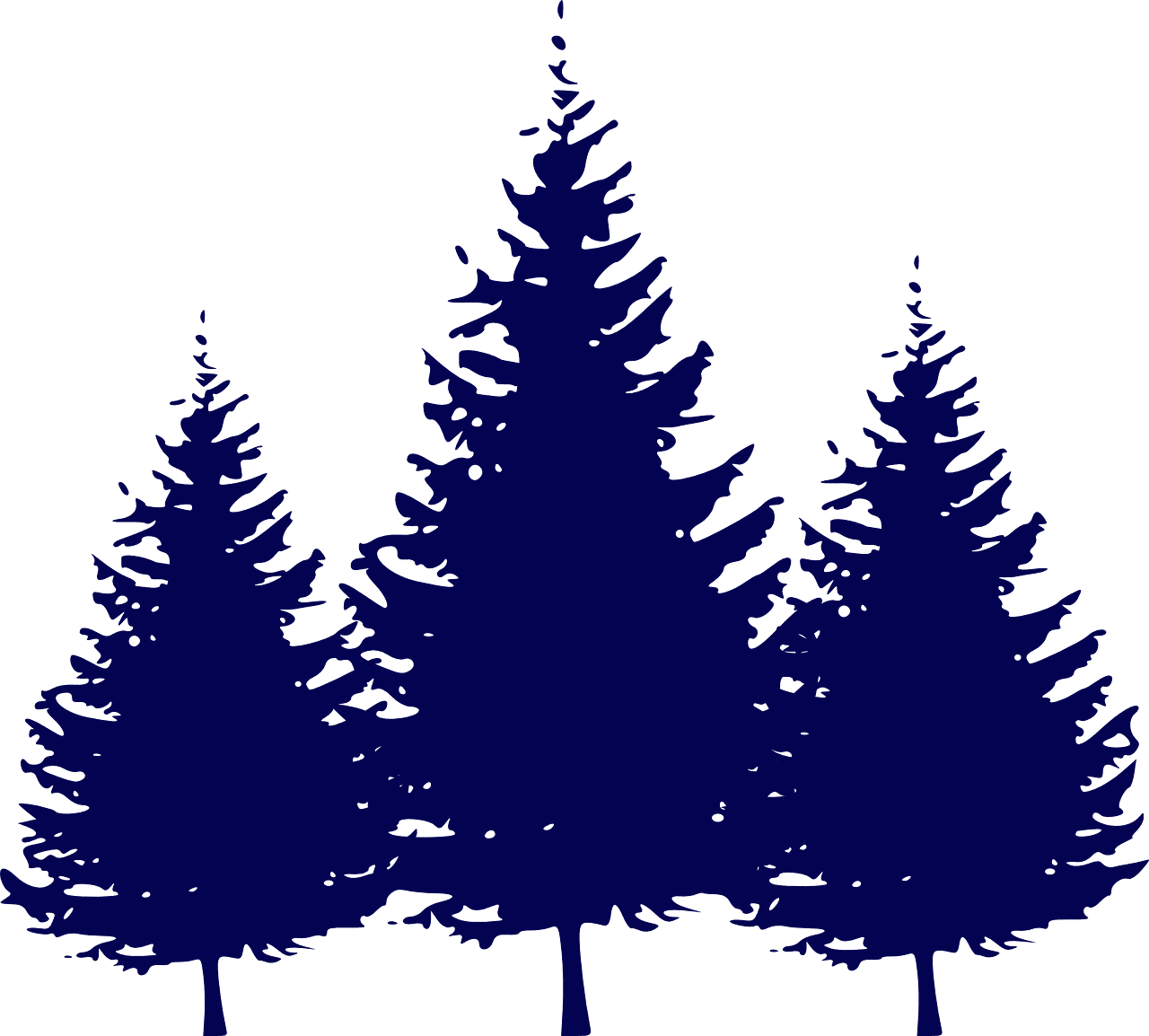 Pine tree forest fir trees evergreens vector graphic clipart