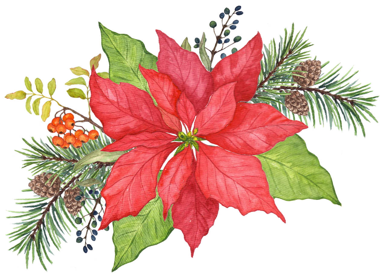 Poinsettia pin page clipart image