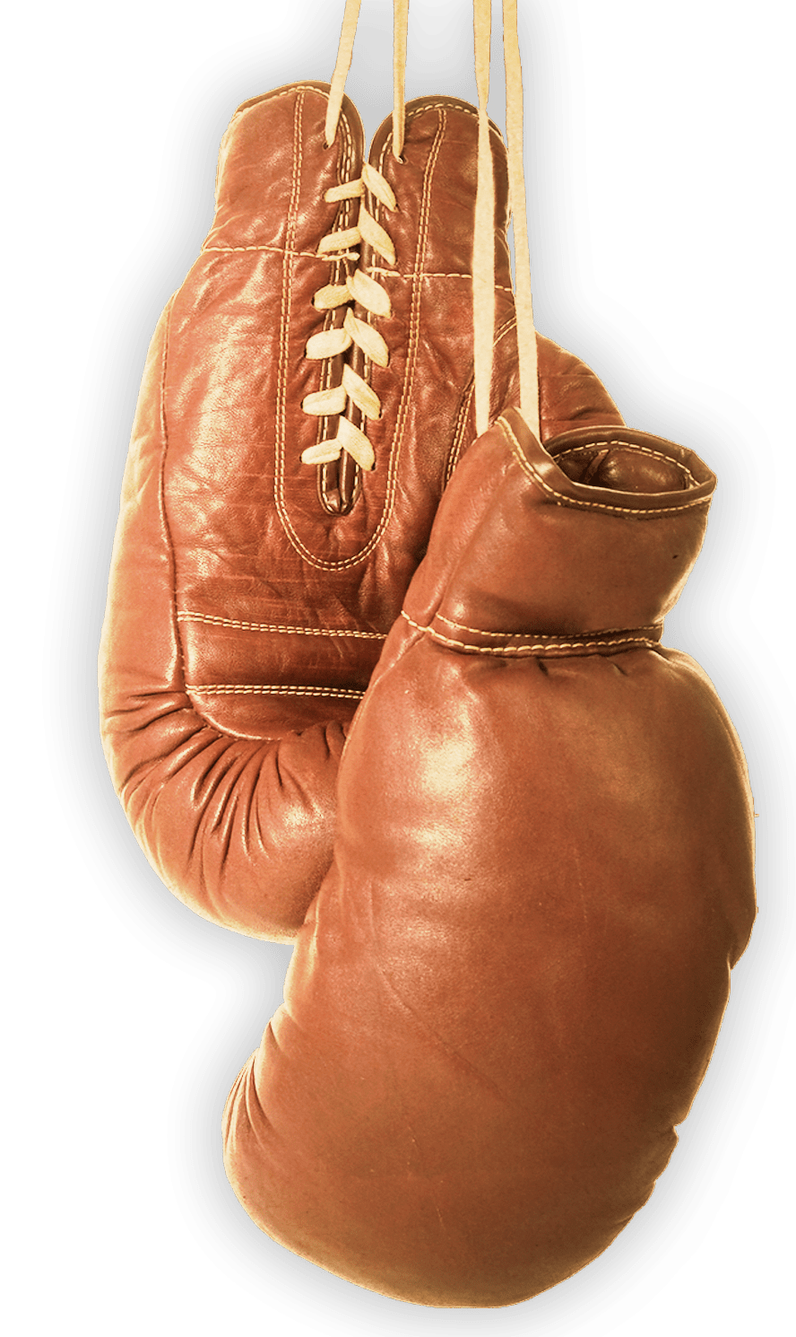 Boxing gloves logos clipart 2