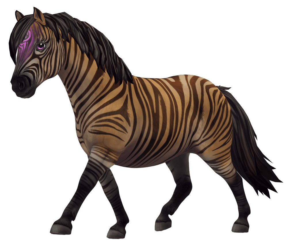 Zebra zony clipart photo