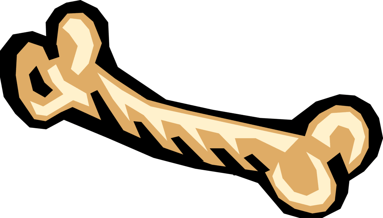 Dog bone vector image clipart