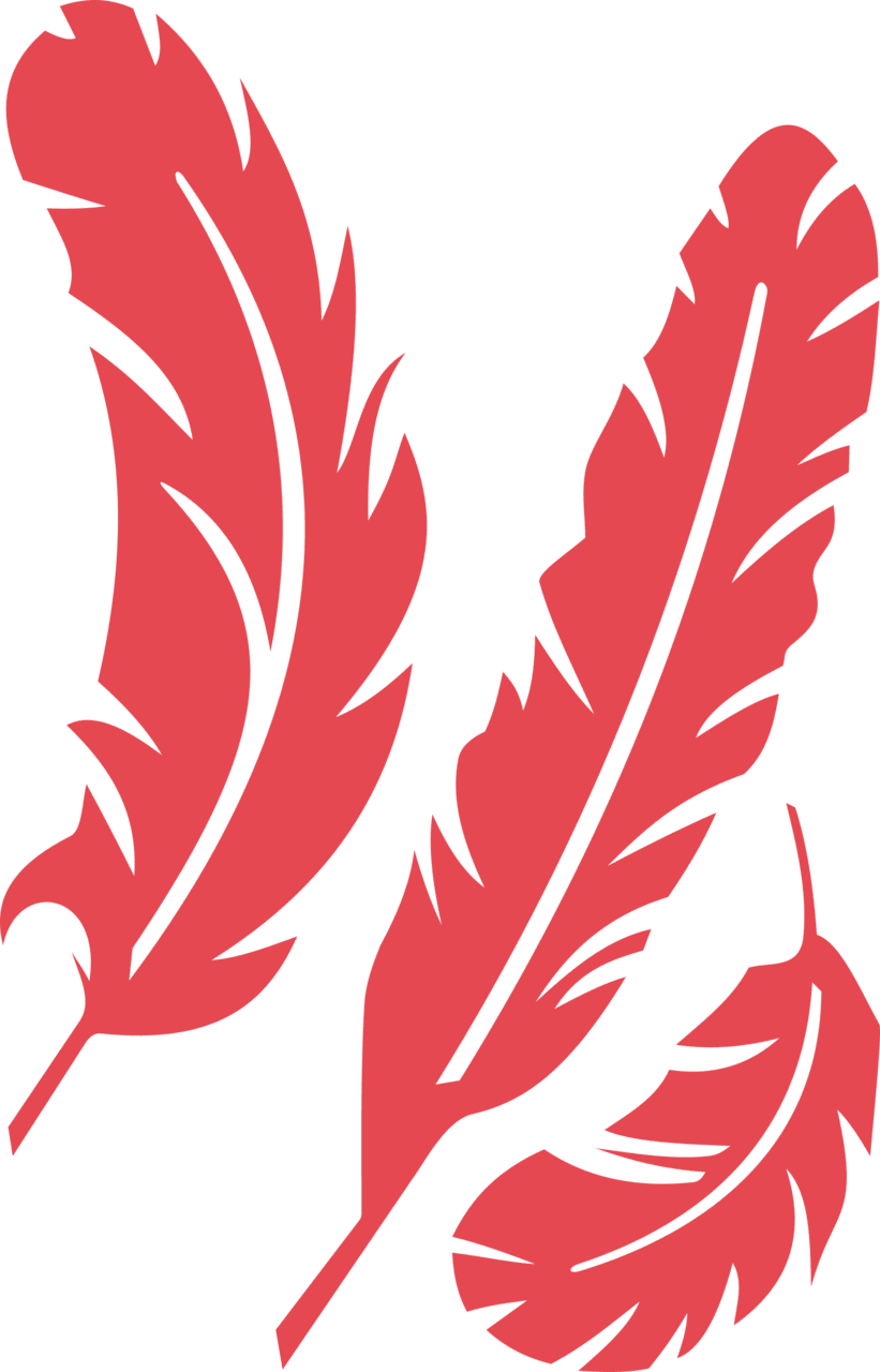 Red feather clipart image