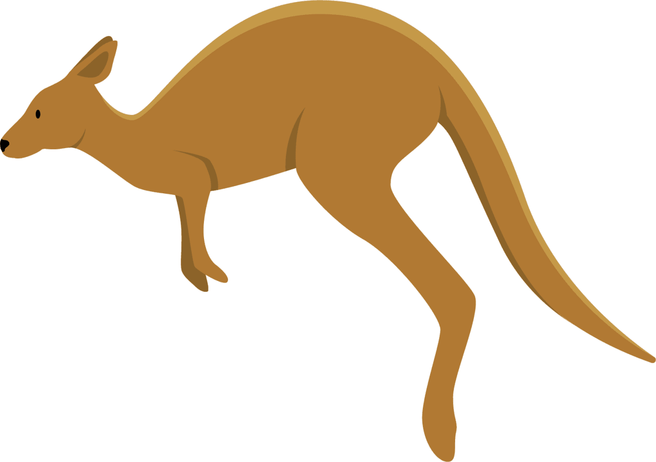 Australia kangaroo images photography australian wildlife clipart