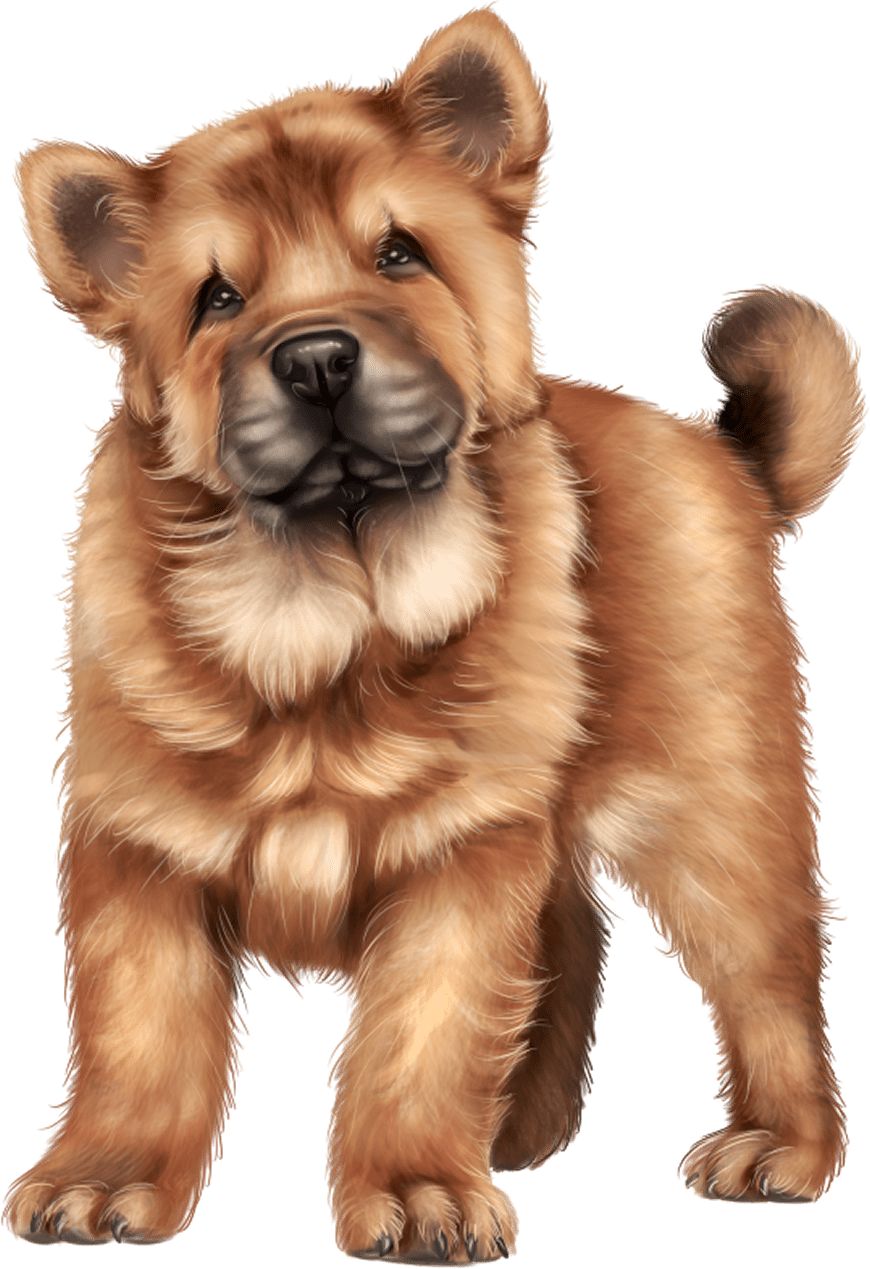 Canine dog clipart picture