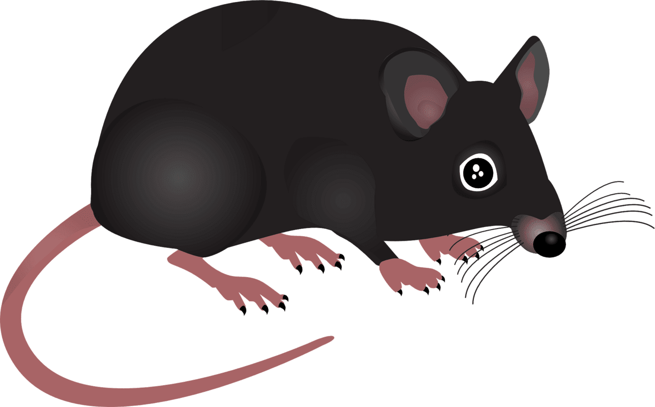 Mice mouse vector clipart images