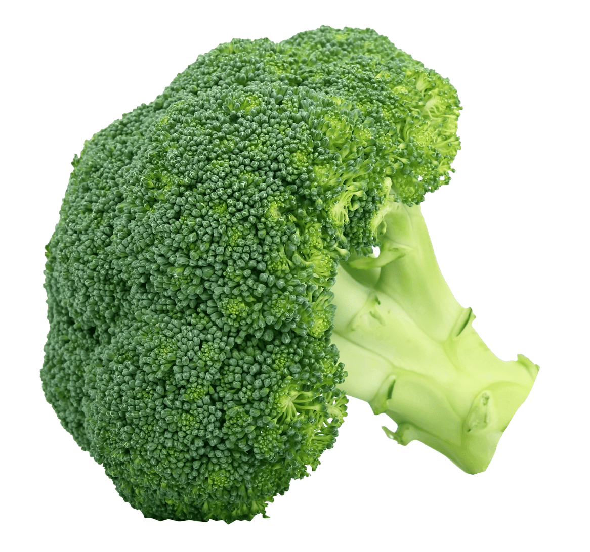 Vegetable broccoli clipart picture