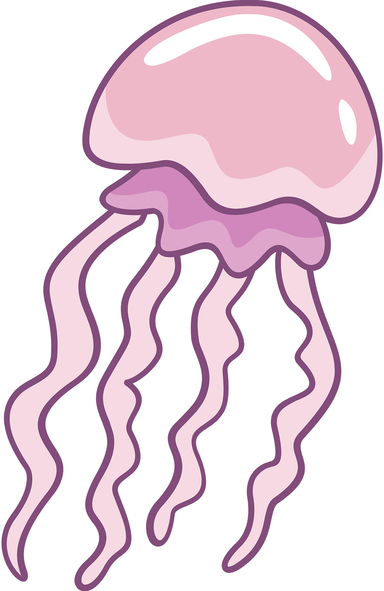 Jellyfish vector clipart images