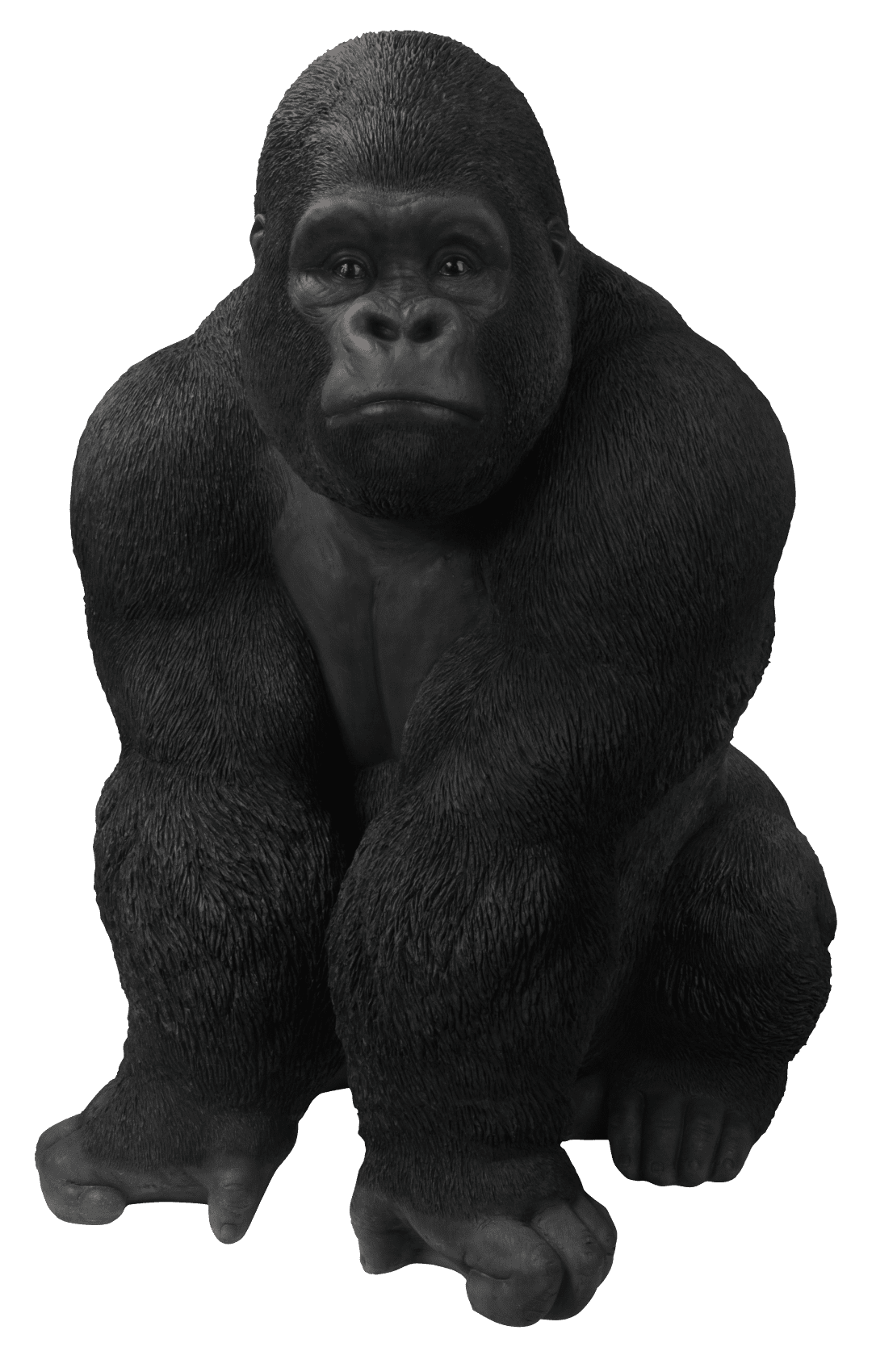 Gorilla images clipart