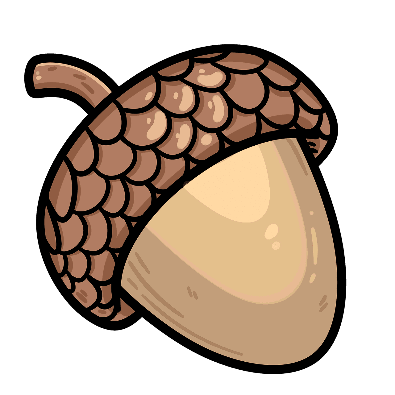 Acorn autumn oak image clipart