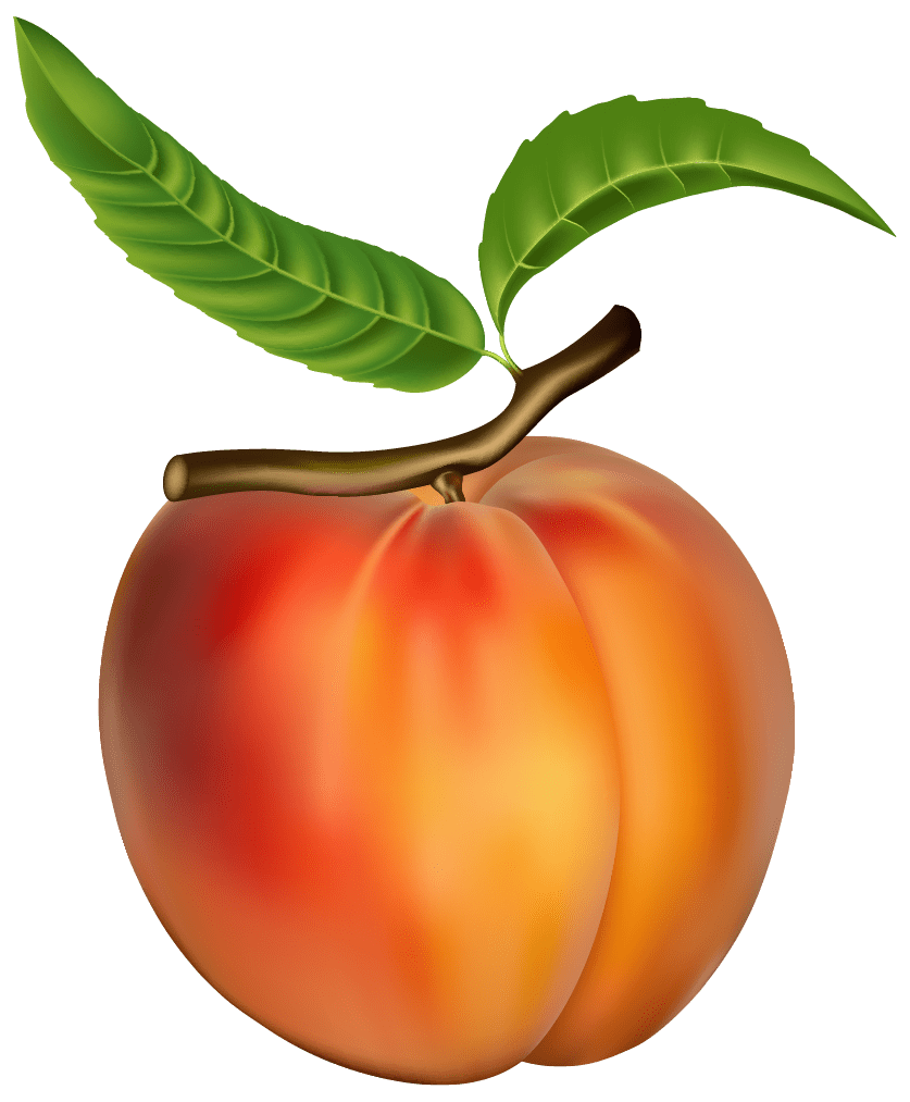 Peach clipart best clip art