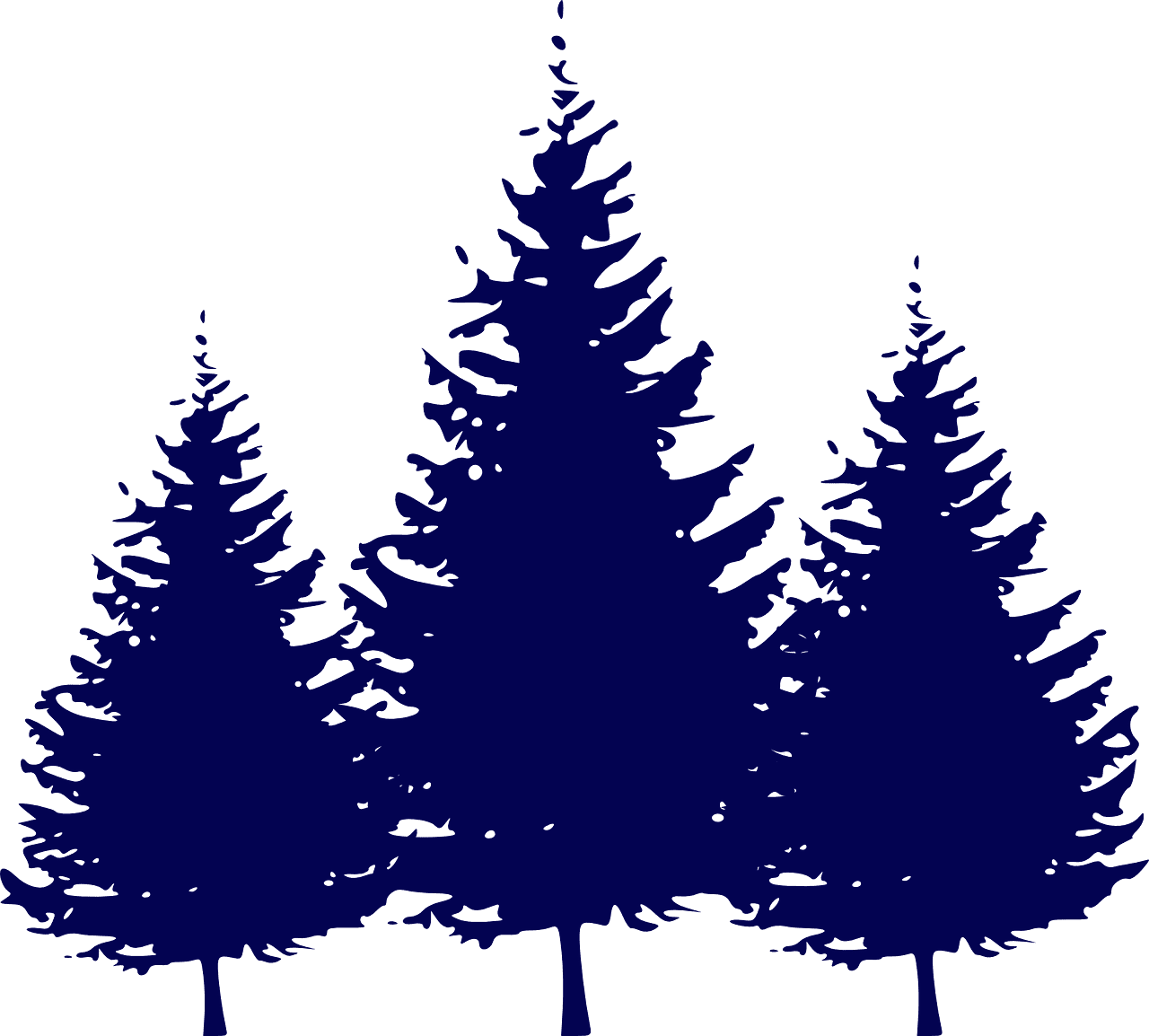 Forest fir trees evergreens vector graphic clipart