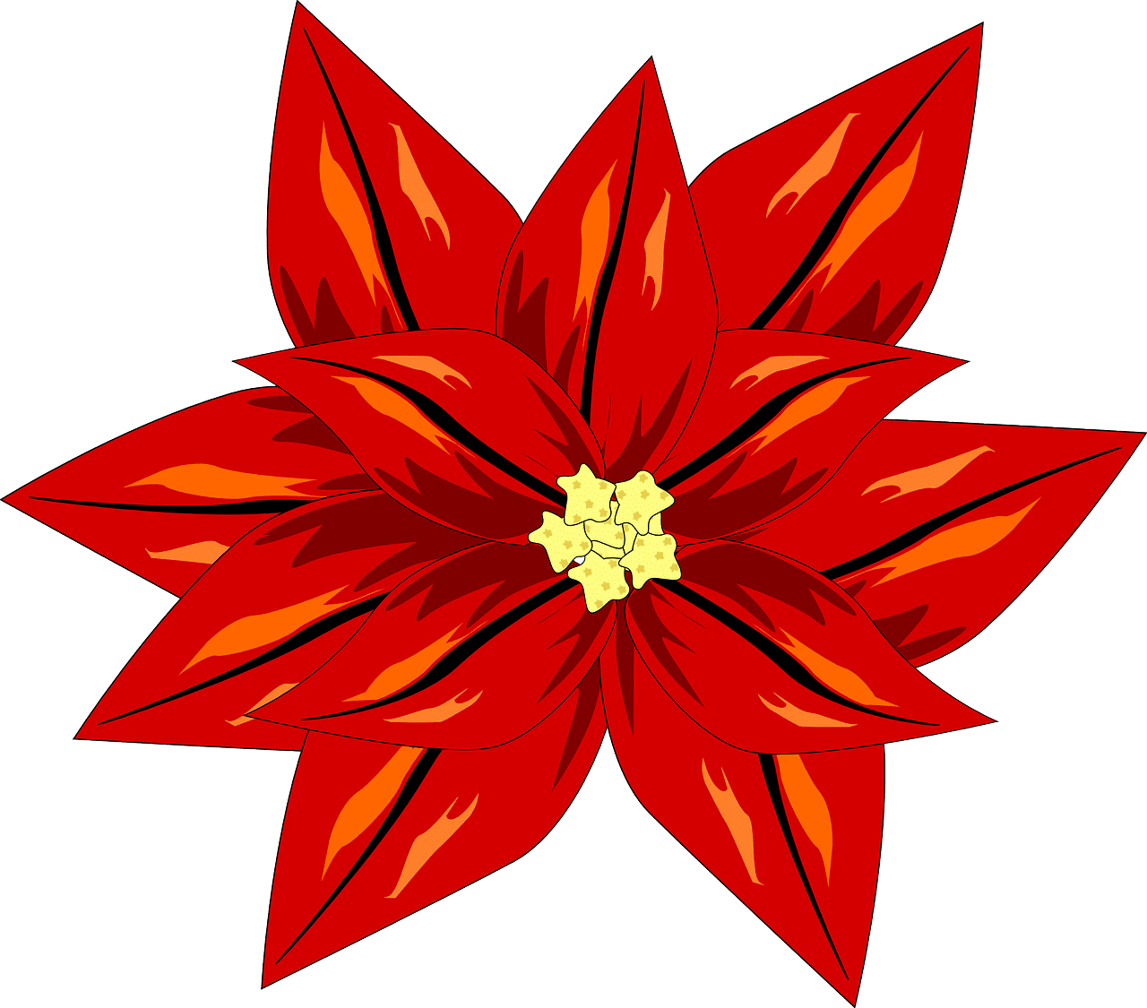 Winter rose poinsettia flower vector graphic clipart