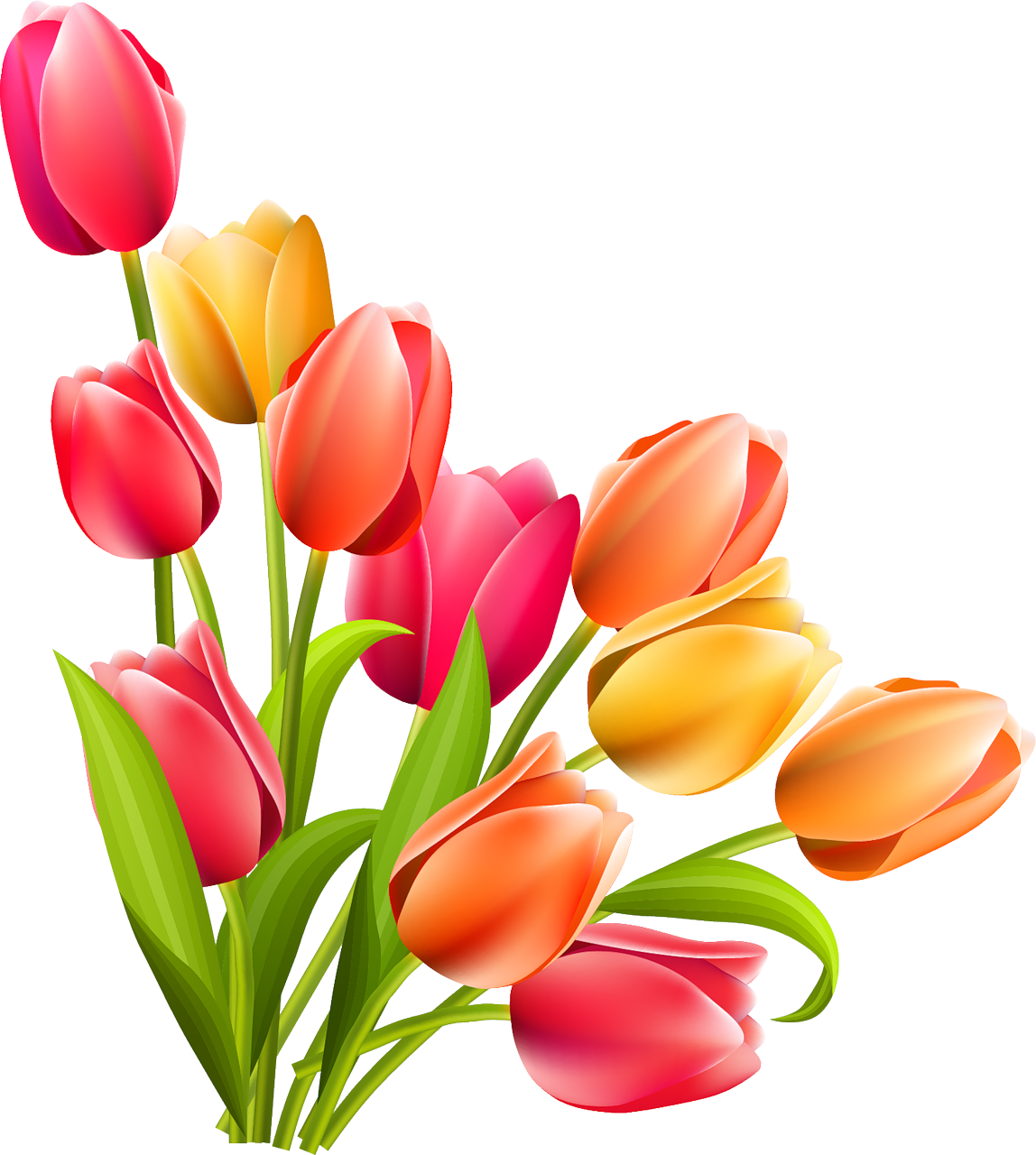 Tulip pin page clipart image