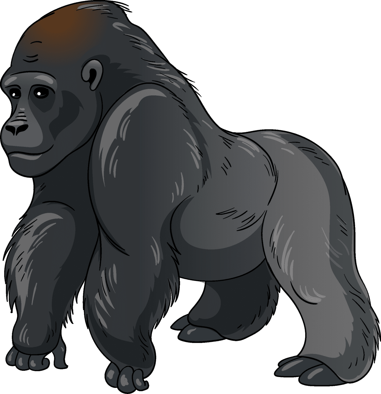 Gorilla vector clipart images