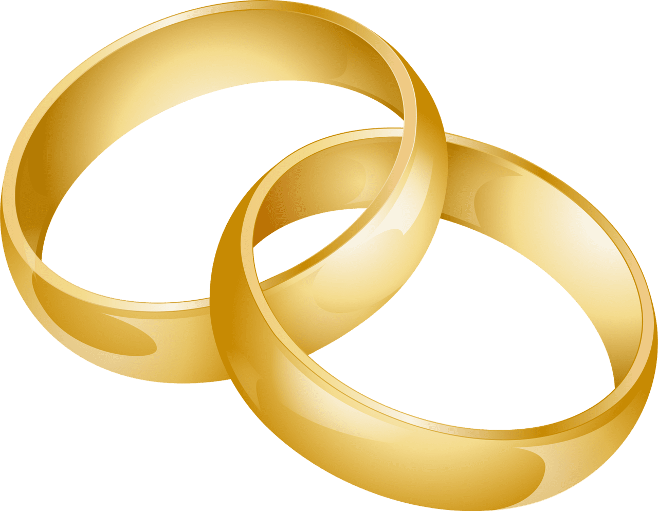 Ring wedding bands intertwined vector clipart images