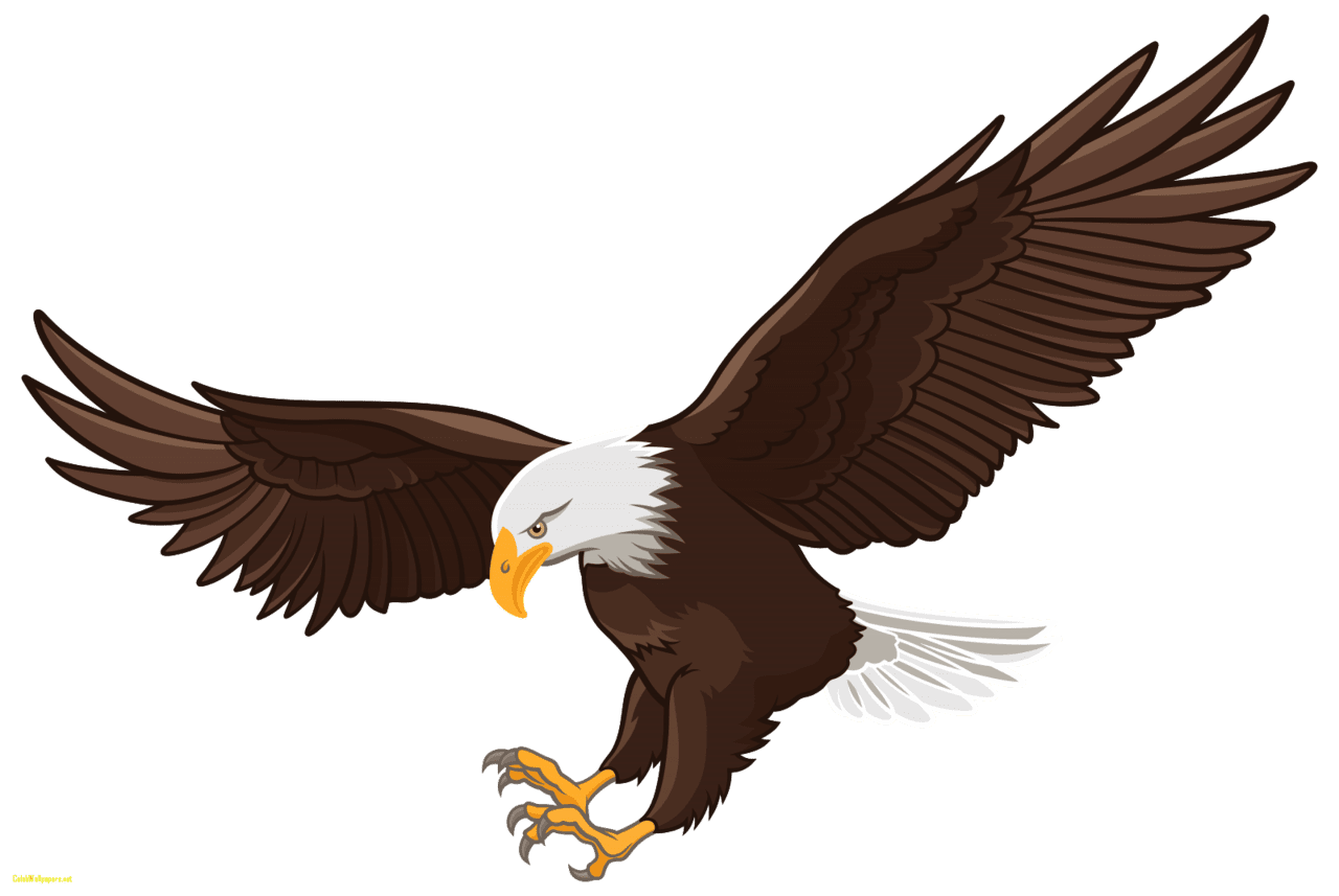 Fly eagles clipart for review free