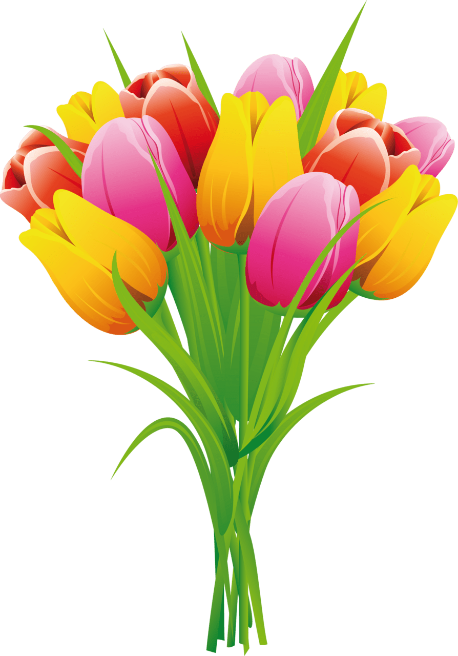 Tulip page clipart vector