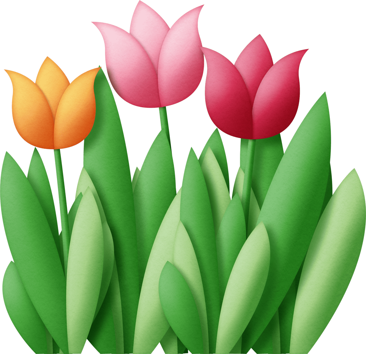 Tulip pin page clipart vector 2