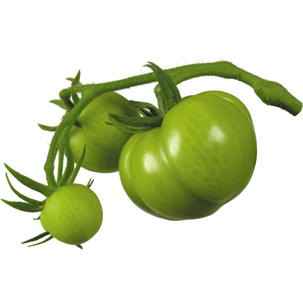 Tomato images hd photo clipart 2