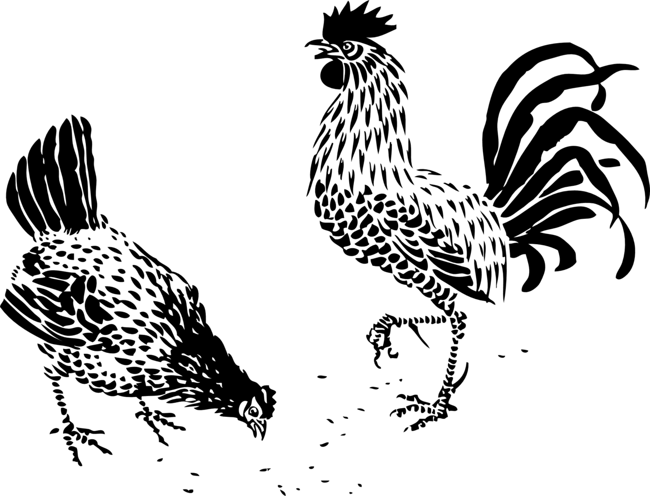 Rooster pin page clipart transparent 3