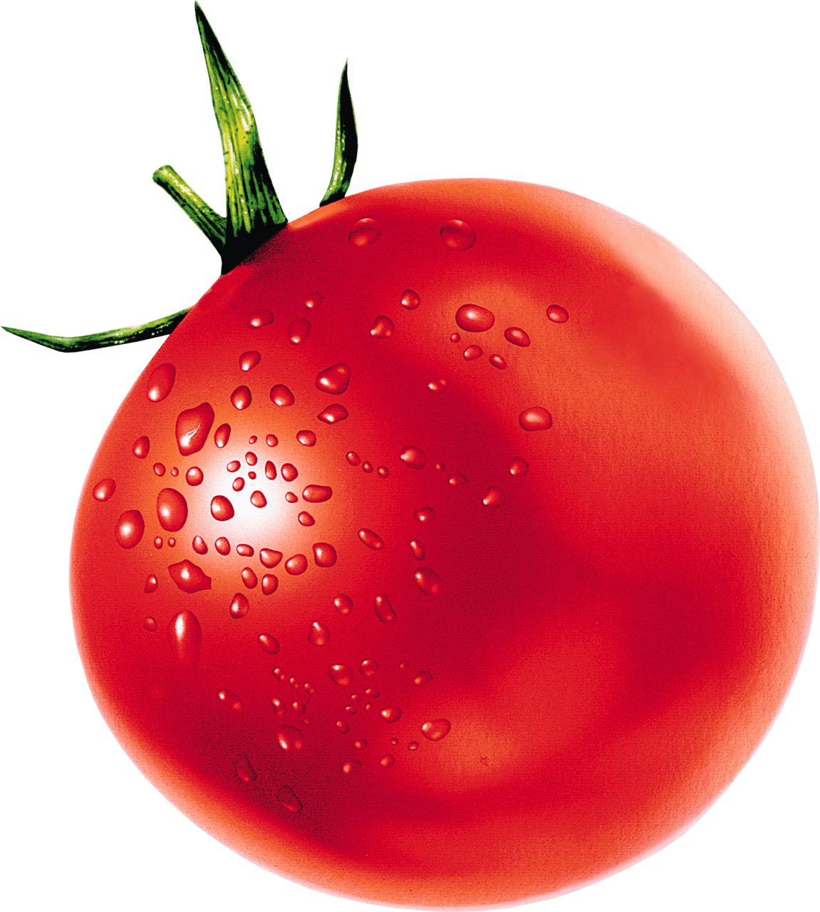 Red tomato es clipart logo