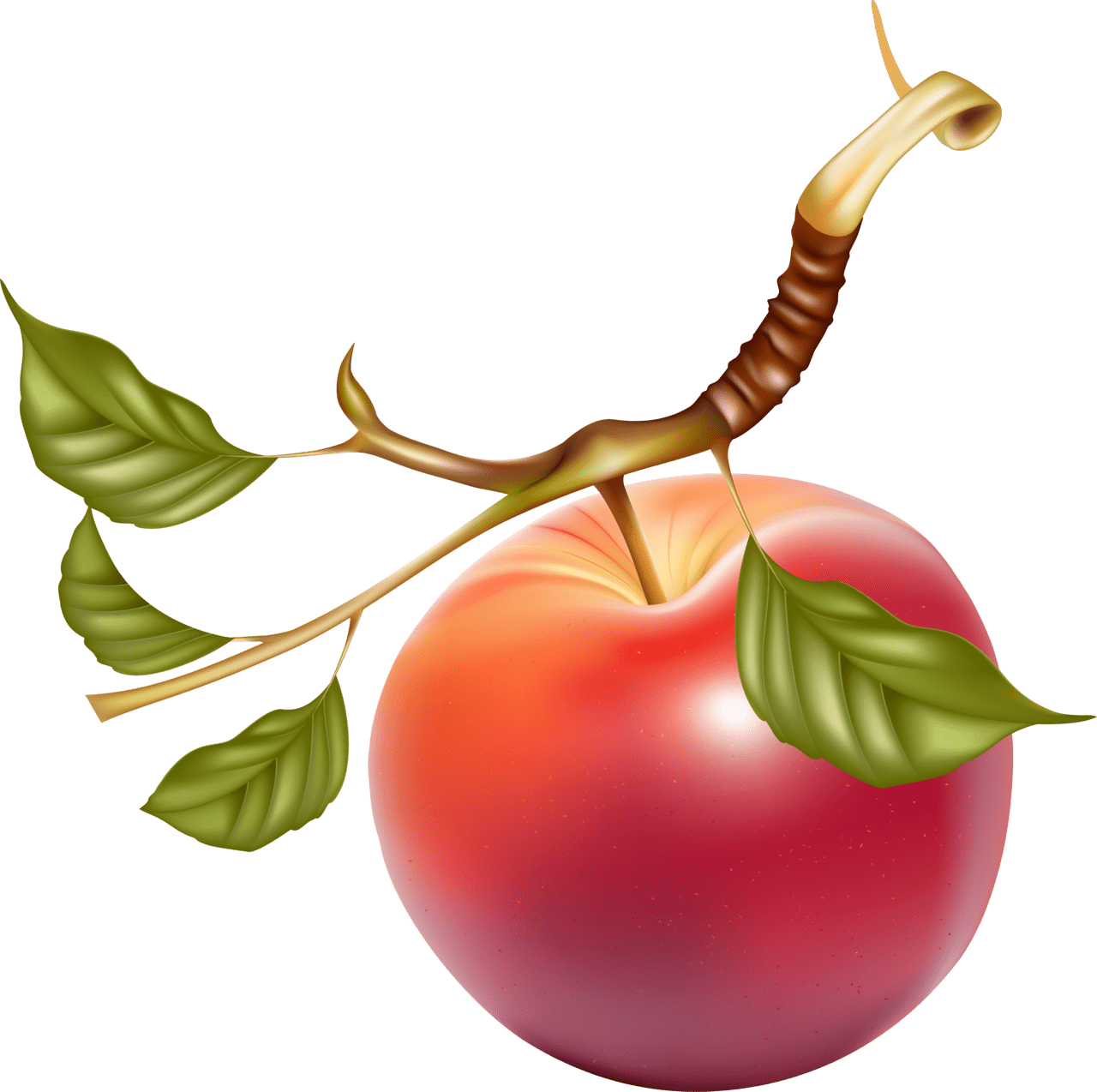 Fruits pin page clipart picture