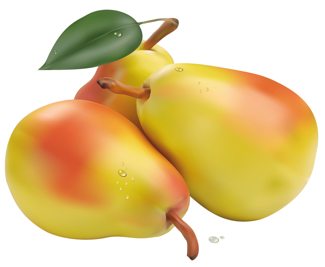 Fruits pears clipart picture