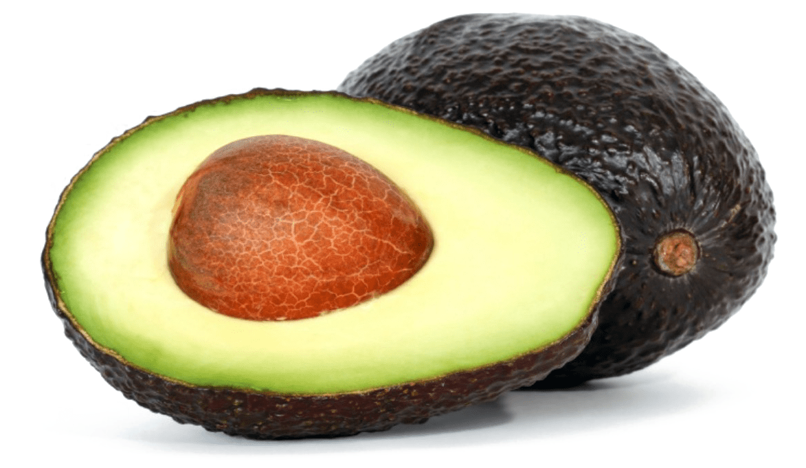 Vector avocado picture clipart