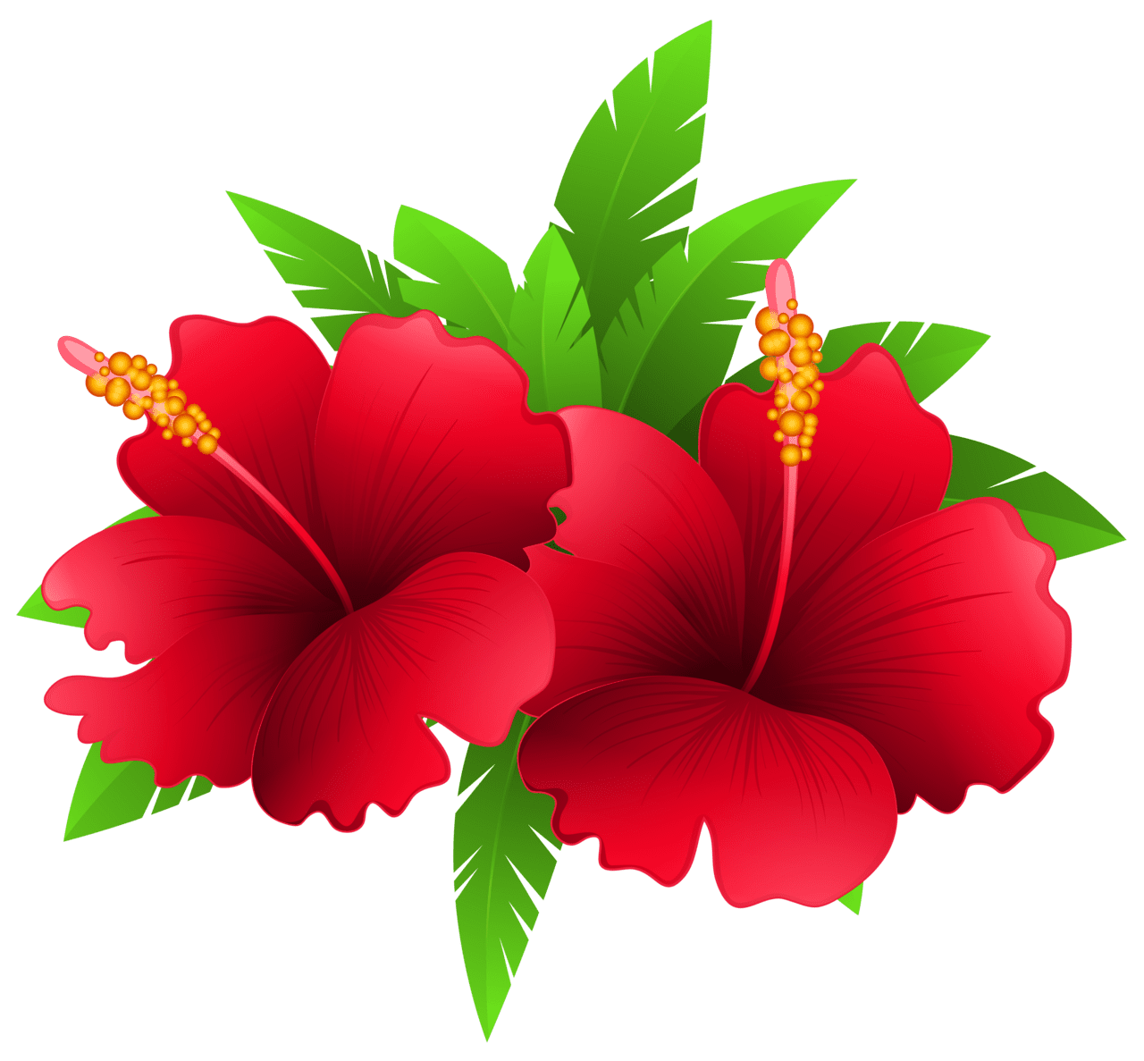 Hawaii exotic flowers and plant clipart image