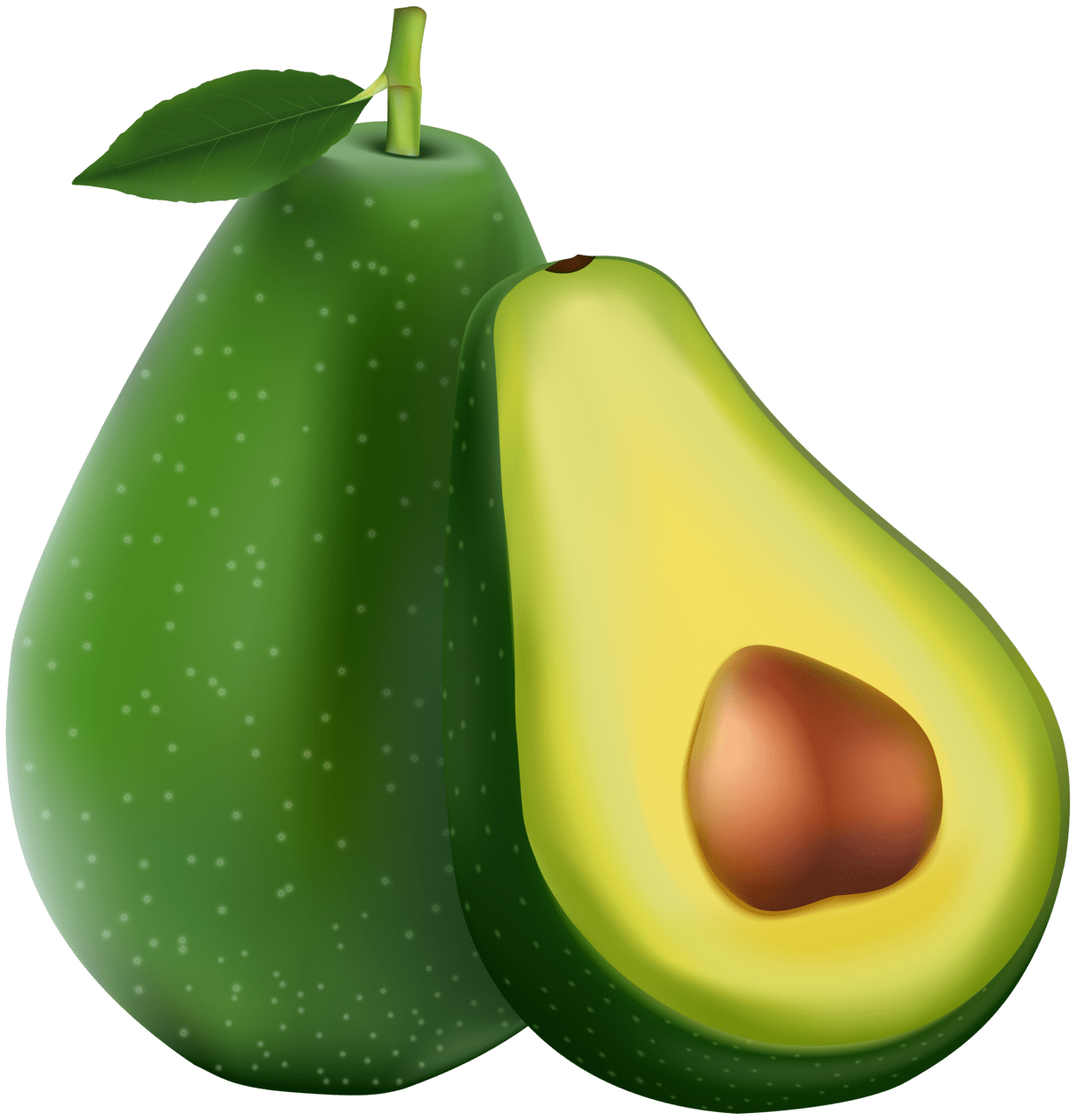 Avocado vector and clipart