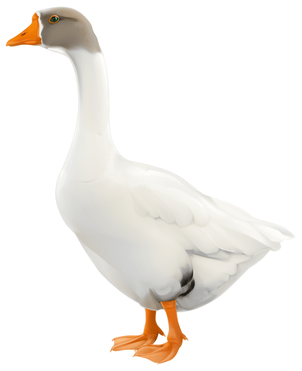 Goose images clipart