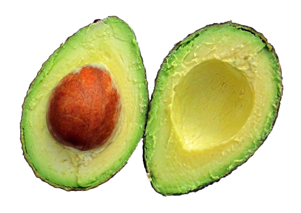 Avocado aocado clipart photo