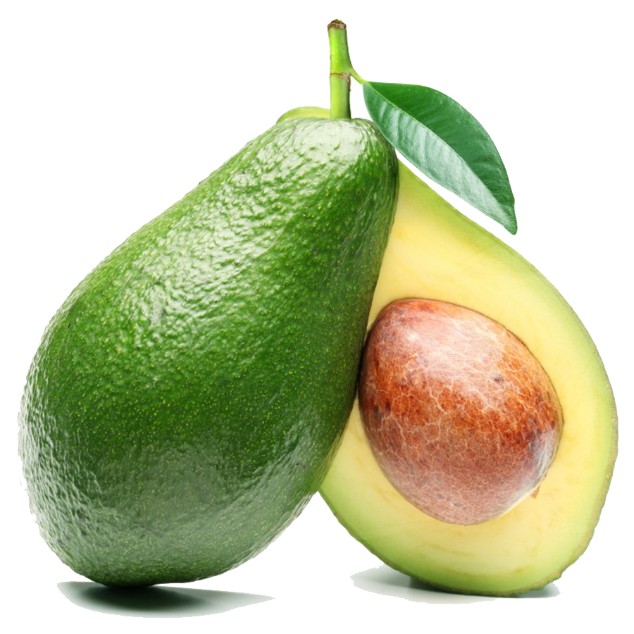 Avocado clipart free