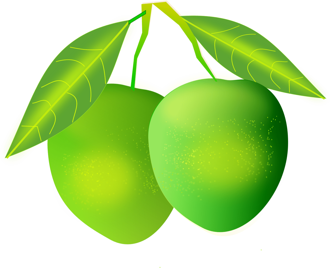 Fruits mango clipart image 2