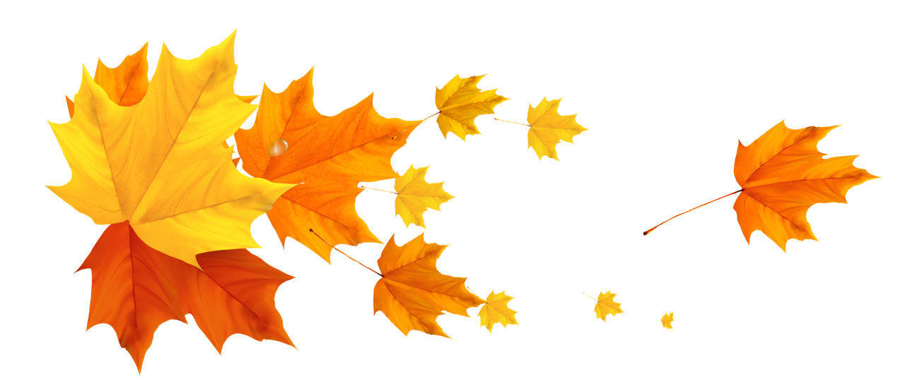 Autumn leaf deco fall leafs clipart picture