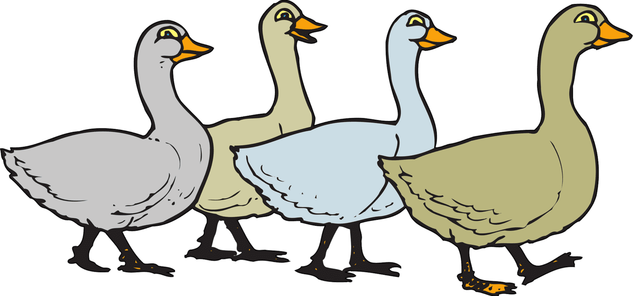 Goose geese vector clipart images