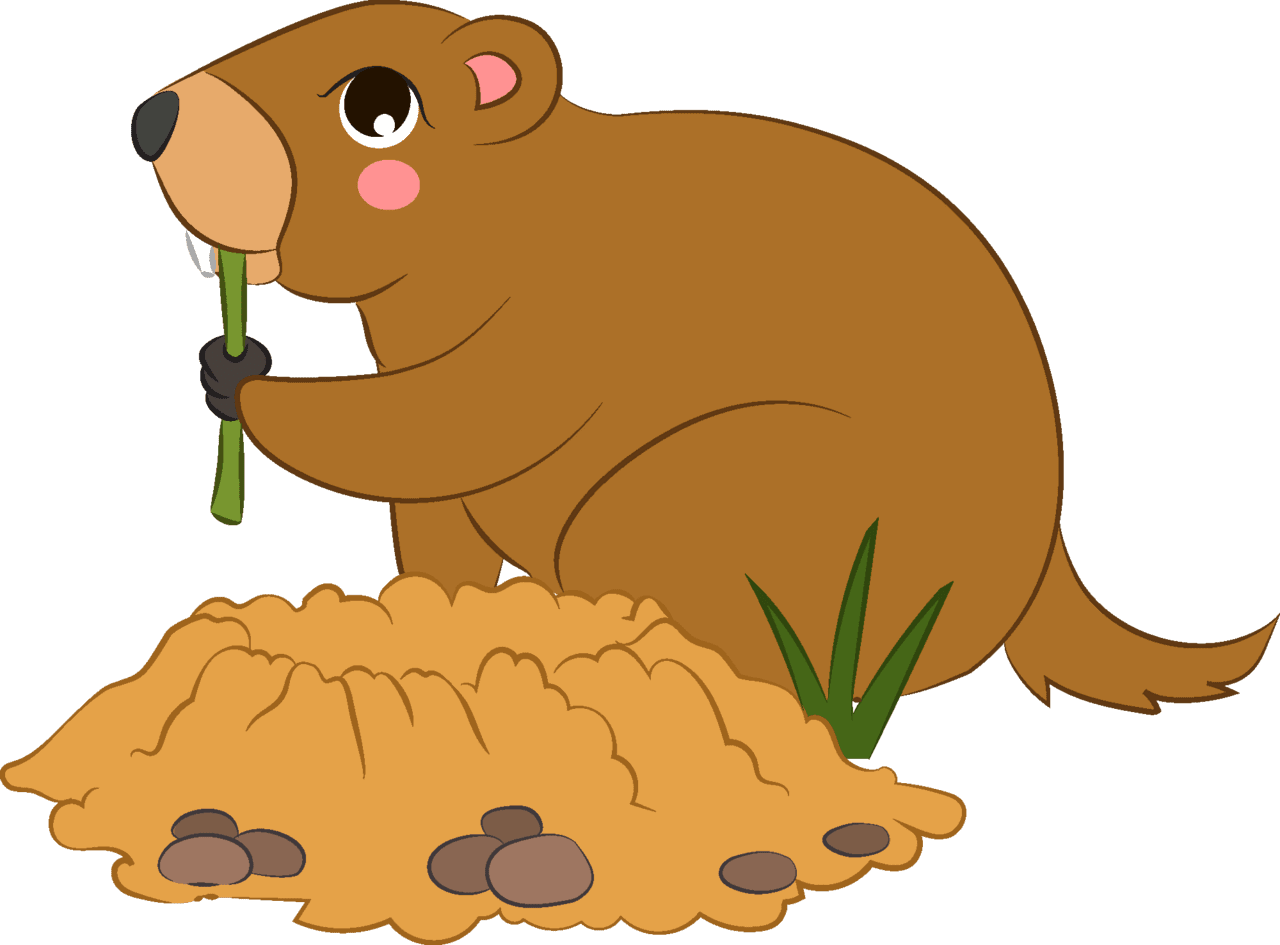 Groundhog vector clipart images 3