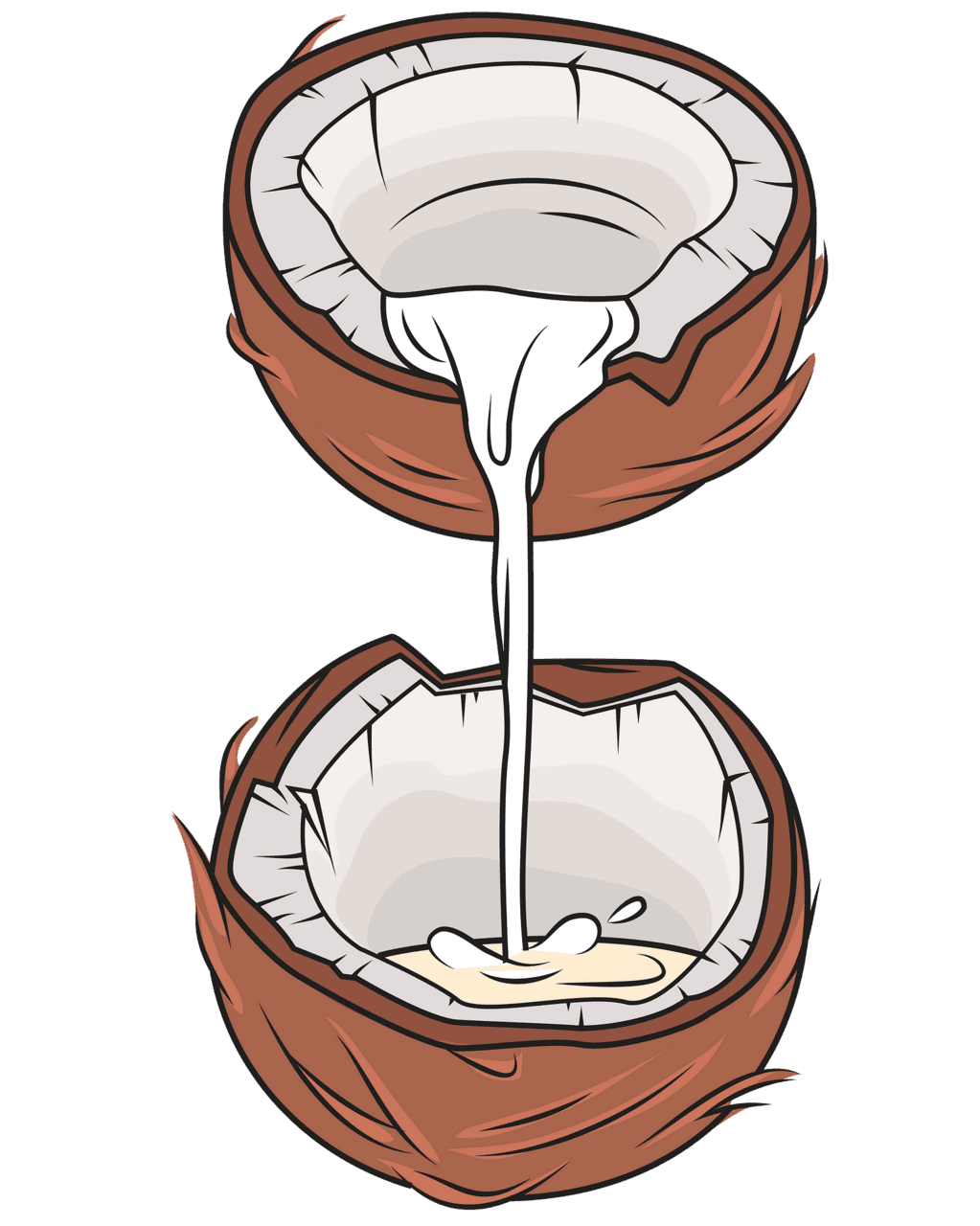 Coconut milk vector clipart images