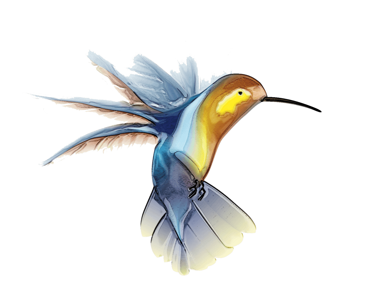 Hummingbird tattoo stic clipart transparent