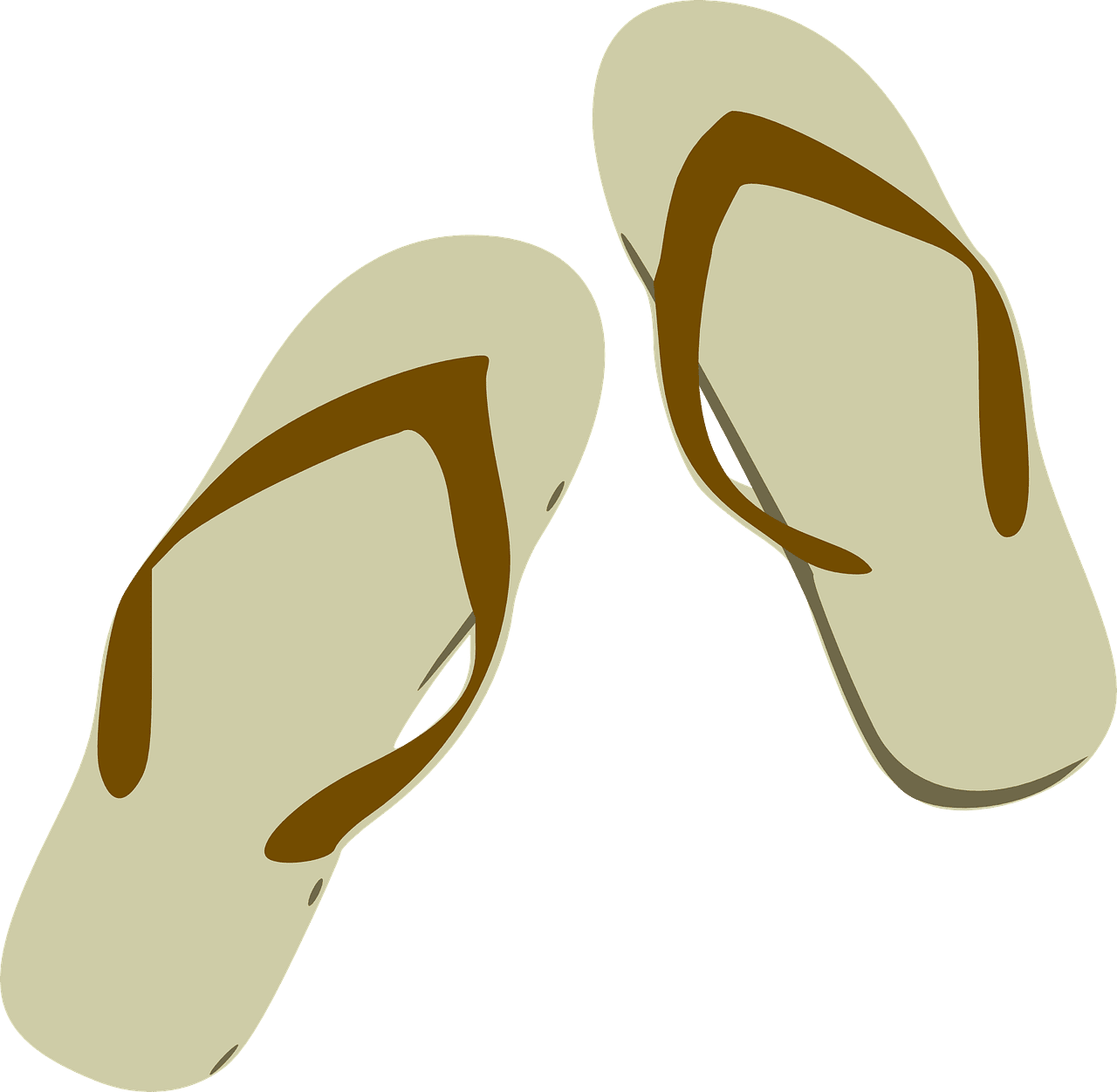 Flip flop sandals nature vector graphic clipart