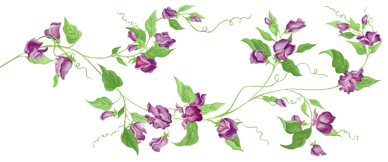 Vine pin page clipart transparent 2