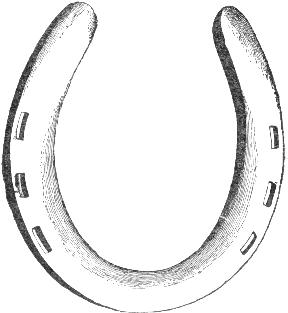 Horseshoe drawing ubisafe pinterest drawings horse shoe image with no background clipart