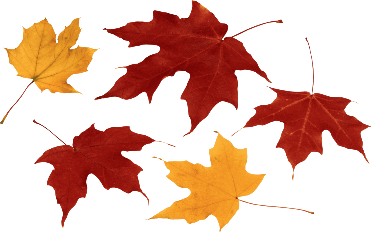 Autumn leaf leaves mart clipart background