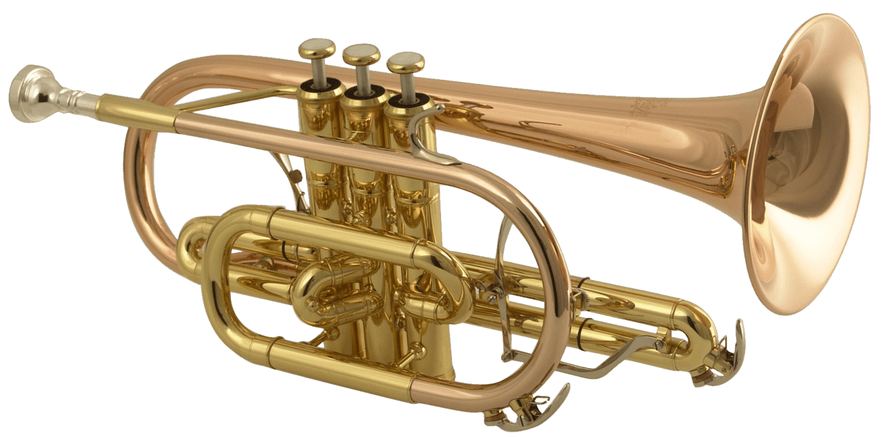 Trumpet image size clipart 4