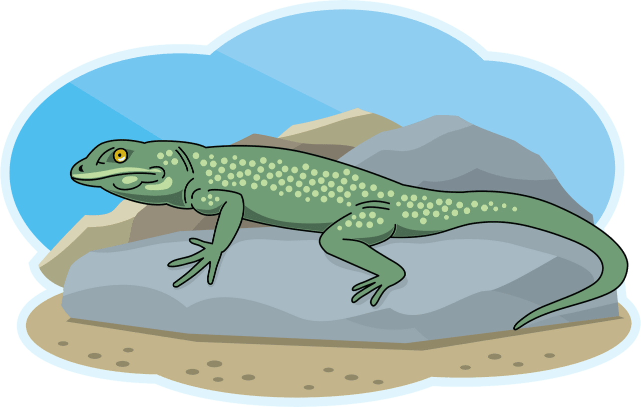 Lizard vector clipart images 4
