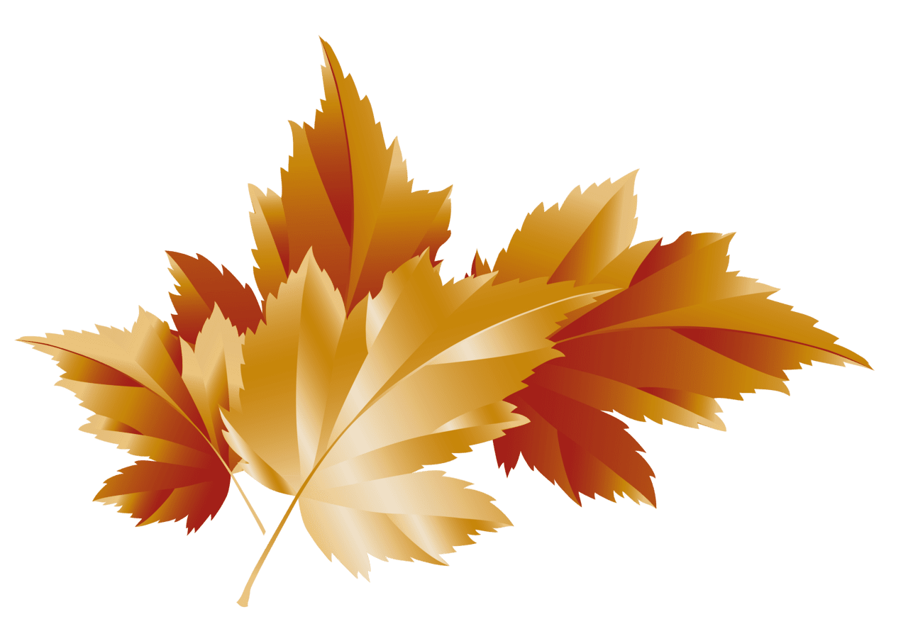 Autumn leaf fall leaves decor picture clipart